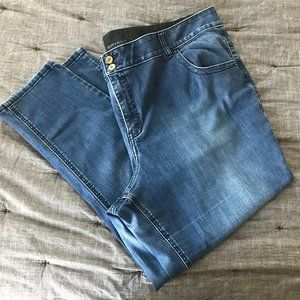 Lane Bryant Tighter Tummy Technology Skinny Jeans